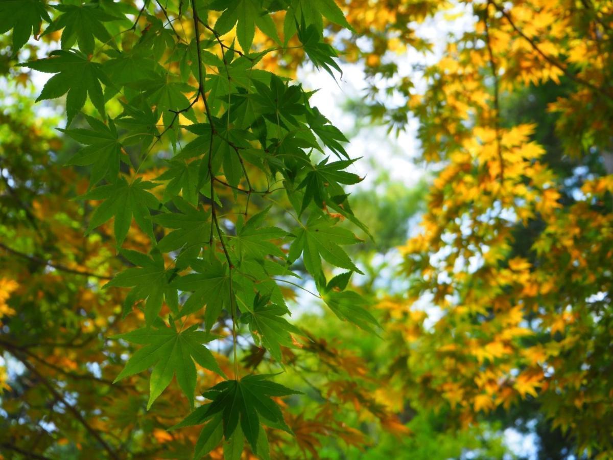Tamachi Bukeyashiki Hotel - Vacation Stay 20163V Daisen  Экстерьер фото